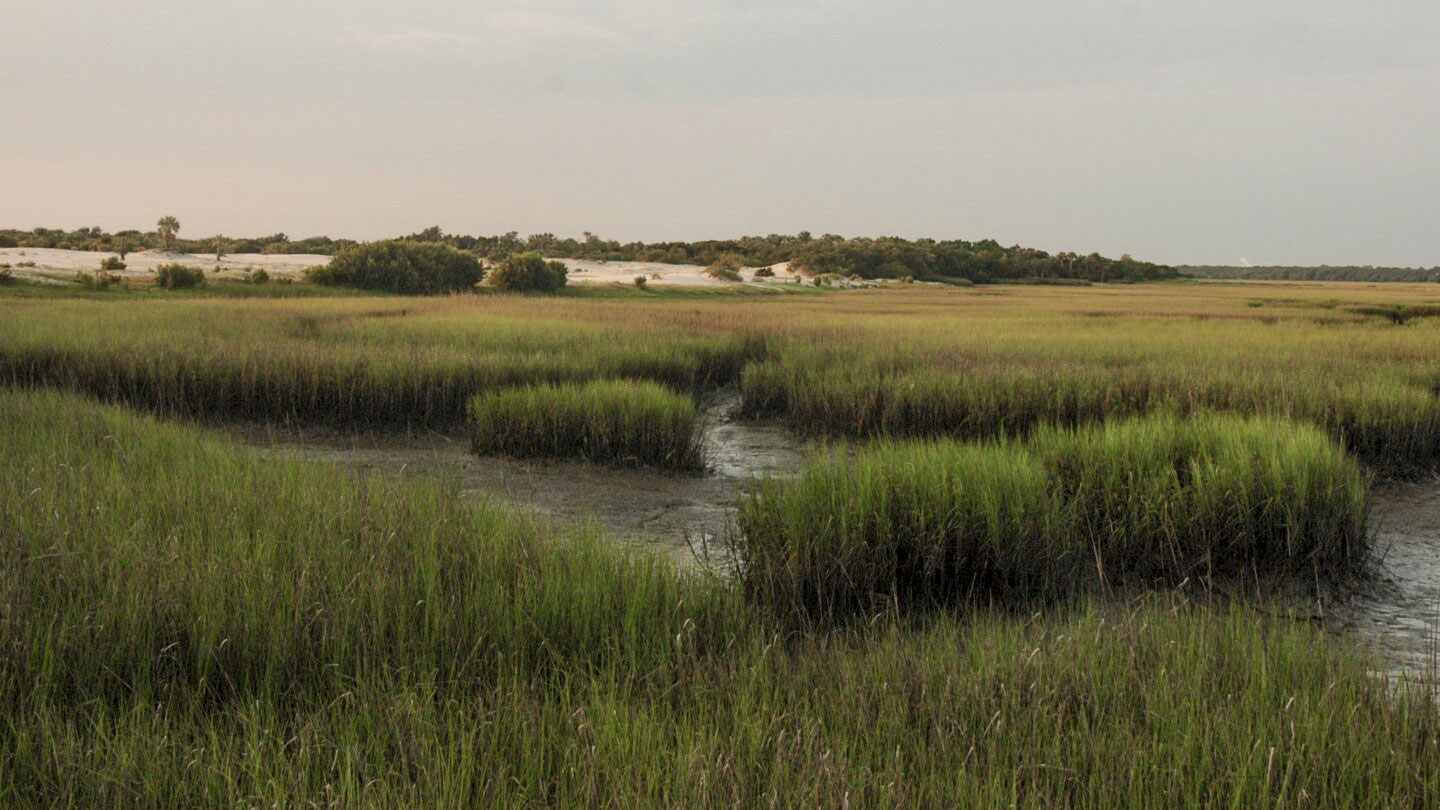salt marsh at dusk